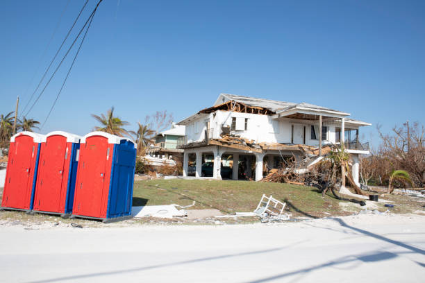 Best Stump Grinding and Removal  in Barnesville, MN